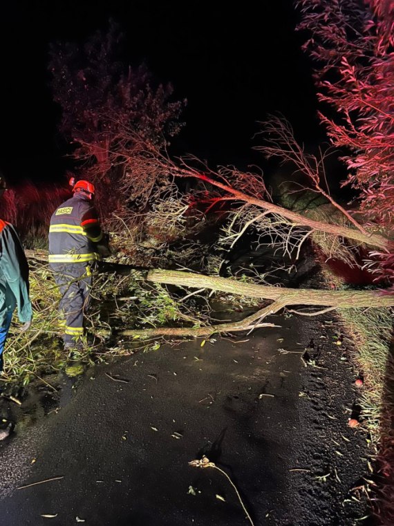 Odstranění spadlého stromu 